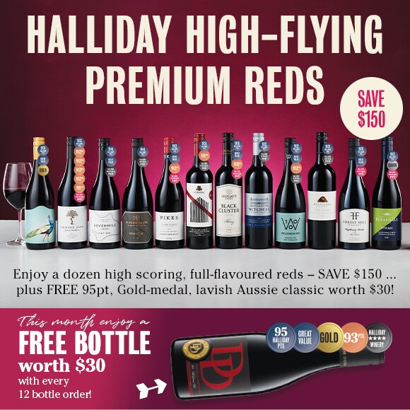 8746HallidayHighFlyers