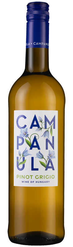 Campanula Pinot Grigio 2024 Campanula Pinot Grigio 2024
