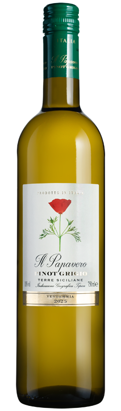 Il Papavero Pinot Grigio 2025