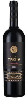 Baía de Tróia Castelão