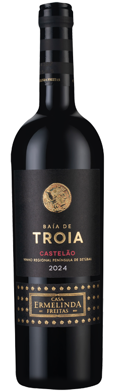 Baía de Tróia Castelão 2024