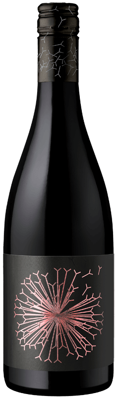 Dandelion Vineyards Faraway Tree of McLaren Vale Grenache Dandelion Vineyards Faraway Tree of McLaren Vale Grenache