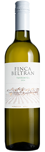 Finca Beltrán Torrontés