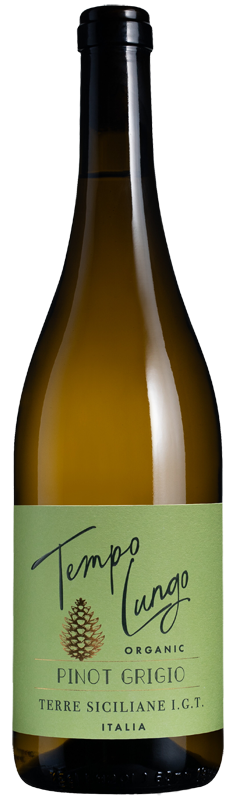 Tempo Lungo Organic Pinot Grigio 2024