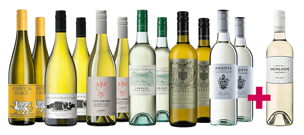 Pinot Grigio Dozen + Free Gold-medal bottle (worth $40) Pinot Grigio Dozen + Free Gold-medal bottle (worth $40)