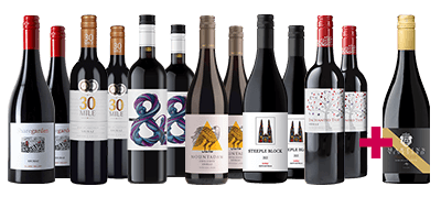 Shiraz Sale Dozen + FREE Gold 97pt McLaren Vale worth $150