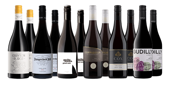 Silky Pinot Noir Dozen Silky Pinot Noir Dozen