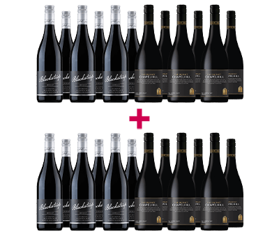  Champion vs Challenger Shiraz 24-botttle BULK DEAL