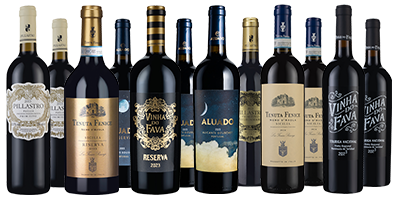 Discover Better International Dozen