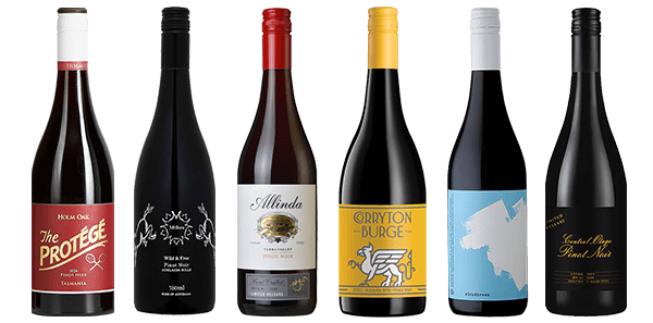 Festive Pinot Noir Six Pack Festive Pinot Noir Six Pack